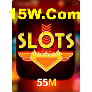 Premium Interface 55M